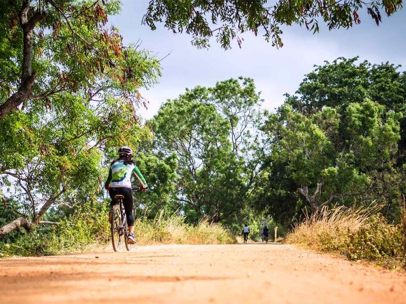 Cycle through the countryside Sigiriya