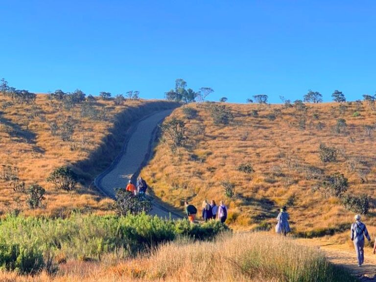 Trekking and Hiking Sri Lanka