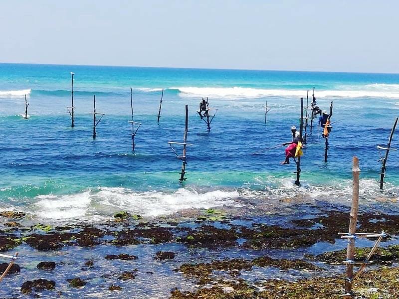 Stilt Fisherrmen Weligama