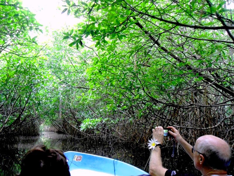 Bentota River Safari