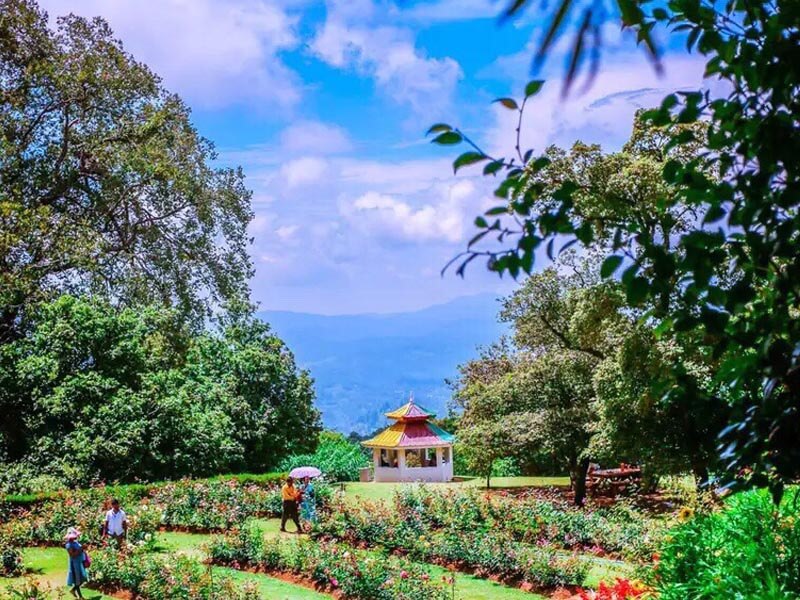 Hakgala botanical garden