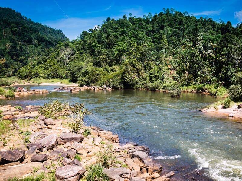 Kelani River Kitulgala